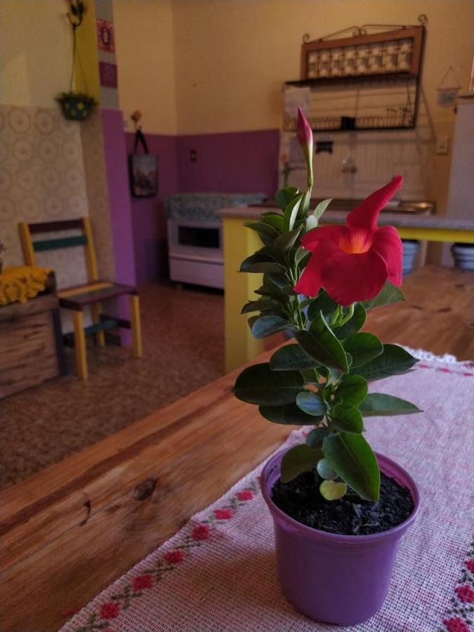 Hostel Tiradentes Ngoại thất bức ảnh